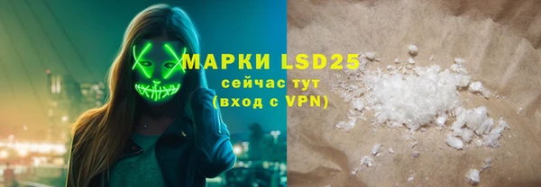 стаф Алзамай