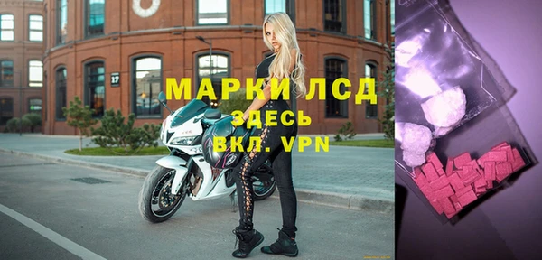 стаф Алзамай