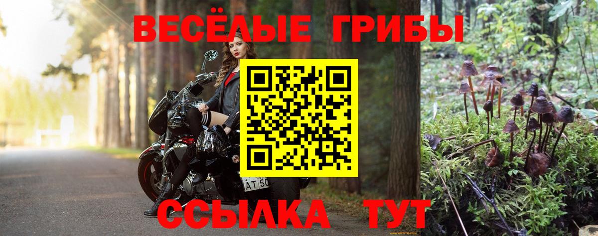 Псилоцибиновые грибы мицелий  Псилоцибиновые грибы MAGIC MUSHROOMS  Вход с VPN  Арзамас 
